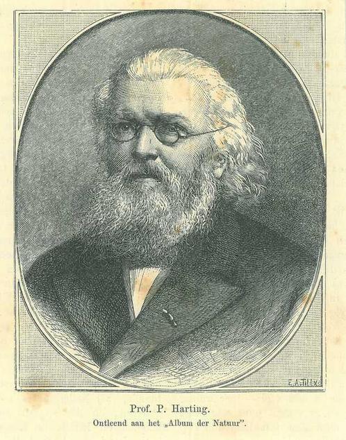 Portrait of Pieter Harting, Antiek en Kunst, Kunst | Etsen en Gravures
