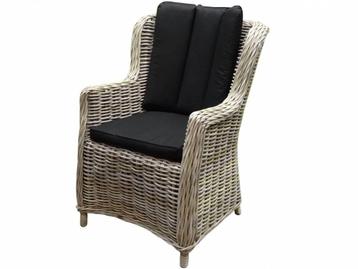 Darwin dining tuinstoel naturel rotan - olefin black beschikbaar voor biedingen