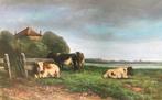 Hendrik Savrij Martinus (1871-1942) - Koeien in landschap