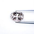 Zonder Minimumprijs Roze Morganiet - 4.45 ct - International, Nieuw