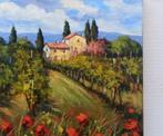 Bruno Chirici (1947) - Tuscany - Flowers on the vineyard