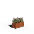 Cortenstaal Plantenbak Rechthoek | Gelast | 100 x 40 x 40, Tuin en Terras, Verzenden, Nieuw