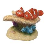 Aqua D'ella Nemo koraal