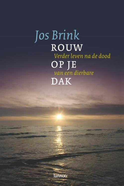 Rouw op je dak 9789020969863 Jos Brink, Boeken, Politiek en Maatschappij, Gelezen, Verzenden