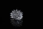 Figuur - Swarovski - Egel (Boxed + Certificate) - Kristal, Antiek en Kunst