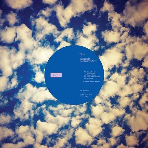 Analogue Creatures - Immersion - LP 10&quot;, Cd's en Dvd's, Vinyl | Overige Vinyl, Verzenden