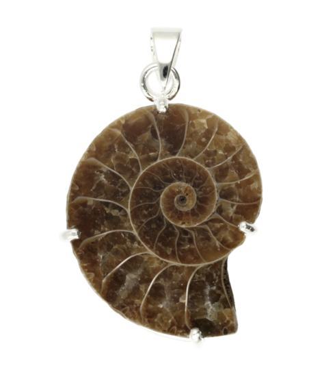 Zilveren Ammoniet versteende schelp negatief kettinghanger, Sieraden, Tassen en Uiterlijk, Kettinghangers, Verzenden