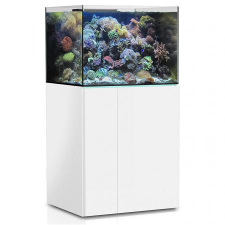 Aqua Medic Armatus 300 XD white, Dieren en Toebehoren, Vissen | Aquaria en Toebehoren, Ophalen of Verzenden