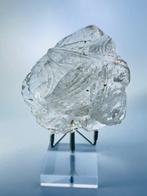 Meester Genezer Kwarts – Zeester Carving voor Kalmte &
