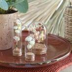 Mini dome ø2 h.7 cm set 12  stolpje met kurk voor geschenken, Hobby en Vrije tijd, Knutselen, Ophalen of Verzenden, Nieuw