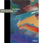 The Bigger Picture 9781906155797 Fay Sweet, Verzenden, Zo goed als nieuw, Fay Sweet