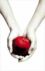 Twilight. White Cover (Twilight Saga) von Stephenie Meyer, Boeken, Gelezen, Verzenden