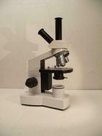 Nieuwe EUROMEX Microscopen met extra verticale fototubes, Nieuw, 400x tot 1000x, Biologische microscoop