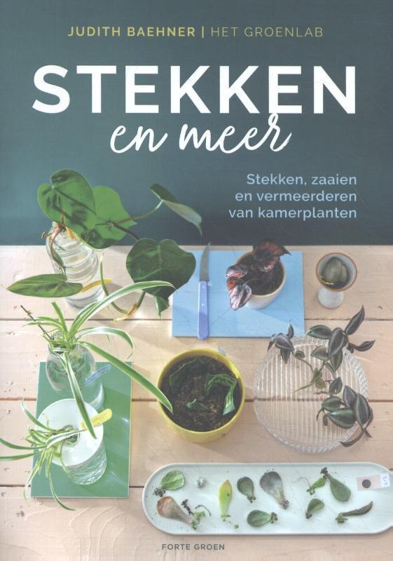Stekken en meer 9789462502277 Judith Baehner, Boeken, Hobby en Vrije tijd, Gelezen, Verzenden