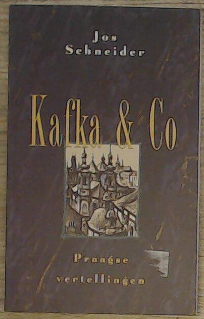 KAFKA EN CO 9789065642097 Jaromir Schneider, Boeken, Reisverhalen, Gelezen, Verzenden