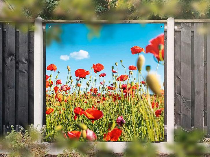 NR 1401: Tuinposter klaprozen 180x180cm, Tuin en Terras, Tuinwanddecoratie, Nieuw