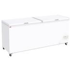 Diamond Vrieskist | 655L | -14°C/-24°C | Dubbel Deksel, Witgoed en Apparatuur, Koelkasten en IJskasten, Ophalen of Verzenden, Nieuw