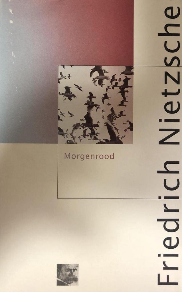 Morgenrood / Nietzsche-bibliotheek 9789029535052, Boeken, Filosofie, Gelezen, Verzenden