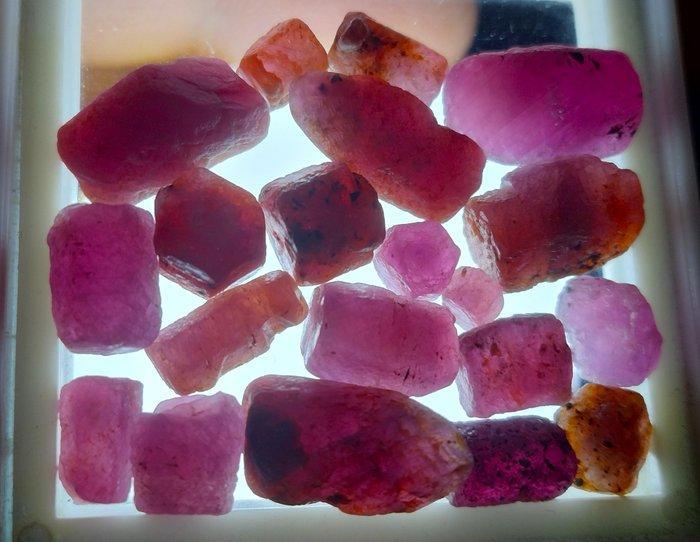 102,5 ct - Onbehandelde robijn Ruw- 20.5 g, Verzamelen, Mineralen en Fossielen