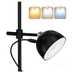 Bureaulamp LED ORBI 2,5W - Dimbaar met CCT-schakelaar - Z..., Huis en Inrichting, Ophalen of Verzenden, Nieuw