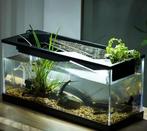 Aquarium met LED en cyclussysteem – Acryl desktop model, Dieren en Toebehoren, Vissen | Aquaria en Toebehoren, Verzenden, Nieuw