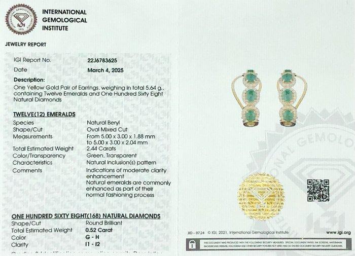 Hoepel oorbellen - 14 karaat Geel goud - 2.96ct. tw. Smaragd, Sieraden, Tassen en Uiterlijk, Antieke sieraden