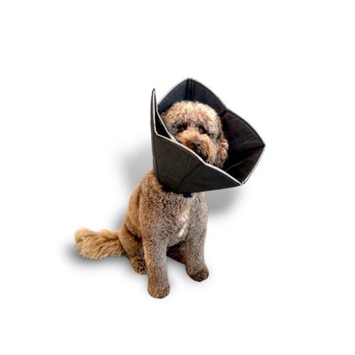 Hondenkraag - Zwart - Verstelbaar met Klittenband -, Dieren en Toebehoren, Honden-accessoires, Nieuw, Verzenden