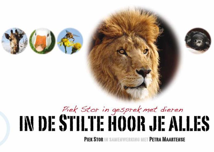 In de stilte hoor je alles 9789081648103 Piek Stor, Boeken, Hobby en Vrije tijd, Gelezen, Verzenden