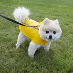Duvo+ Hondenregenjas Reflecterend Geel XL - 70cm, Dieren en Toebehoren, Hondenkleding, Nieuw, Ophalen of Verzenden
