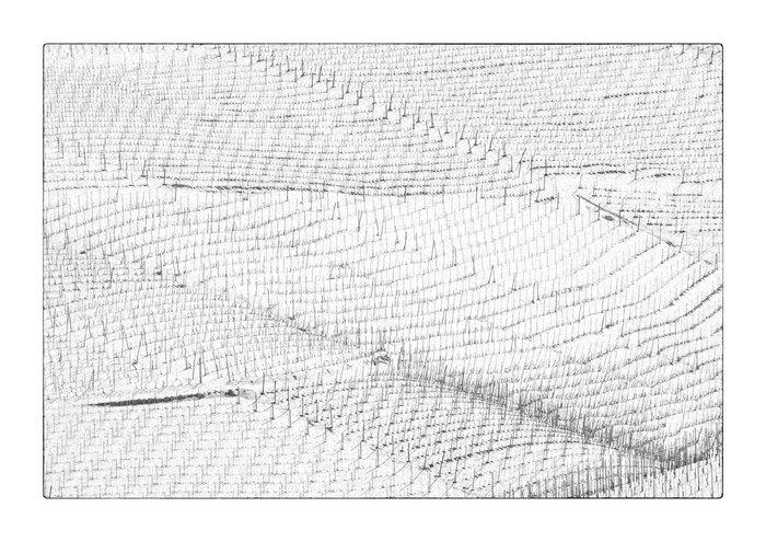 Franco Turcati - Langhe, Piemonte (352), Antiek en Kunst, Kunst | Designobjecten