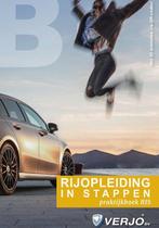 Rijopleiding in Stappen praktijkboek RIS 9789058624338, Boeken, Zo goed als nieuw