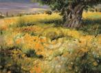 Kunstdruk Christian Sommer - Sommerbaum 128x93cm, Huis en Inrichting, Woonaccessoires | Schilderijen, Tekeningen en Foto's, Verzenden