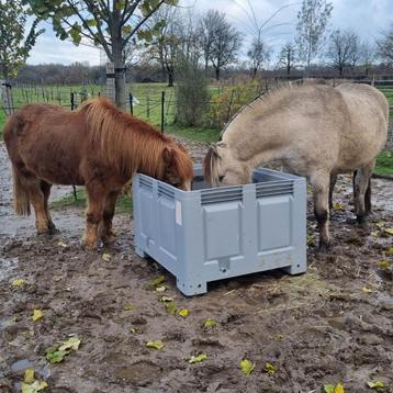 XXL Slowfeeder paard NU EXTRA GOEDKOOP beschikbaar voor biedingen