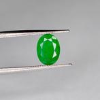 Zonder minimumprijs Groen Smaragd - 1.17 ct - International, Nieuw