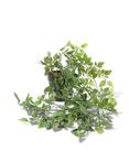 HEMA Kunst hangplant 50cm sale