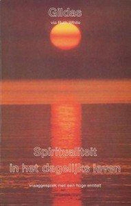 SPIRITUALITEIT IN HET DAGELIJKS LEVEN 9789020255317 Gildas, Boeken, Esoterie en Spiritualiteit, Zo goed als nieuw, Verzenden