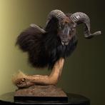 Schaap Taxidermie Opgezette Dieren By Max, Ophalen of Verzenden, Nieuw, Wild dier, Opgezet dier