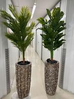 Schelpenvaas alle kleuren en stijlen,bloesem of plant., Nieuw