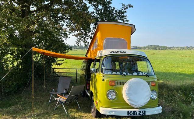 4 pers. Volkswagen camper huren in Baarn? Vanaf € 163 p.d. -, Caravans en Kamperen, Verhuur