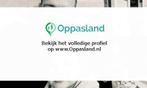Anneloes zoekt een oppas in Apeldoorn voor 2 kinderen.