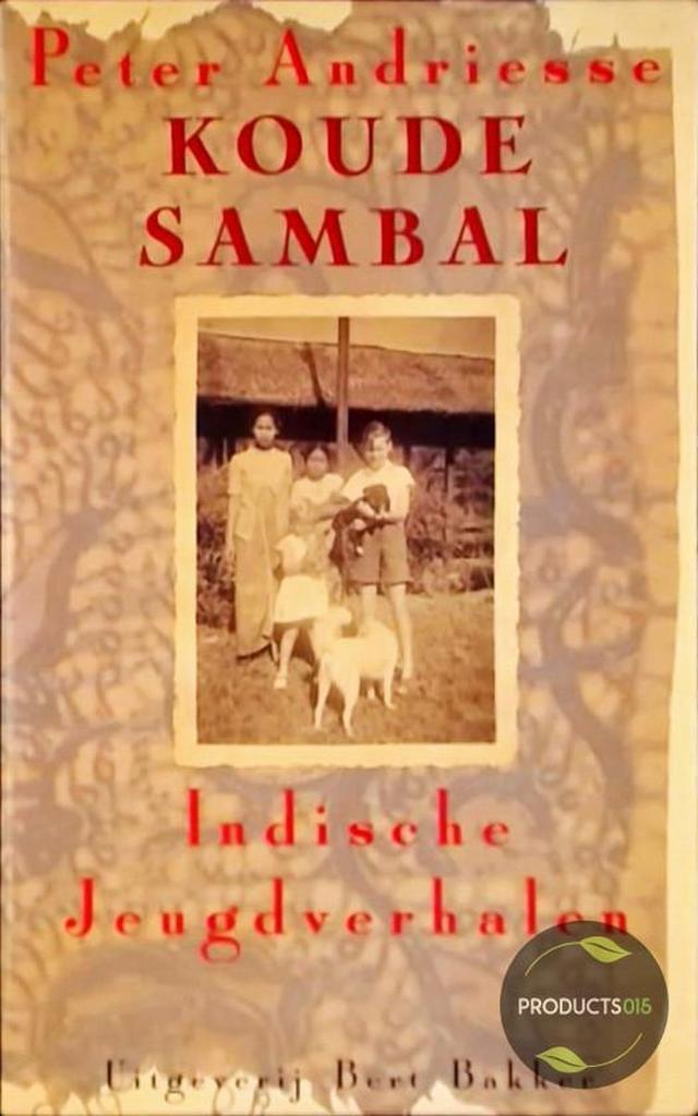 KOUDE SAMBAL 9789035101265 Andriesse, Boeken, Romans, Gelezen, Verzenden