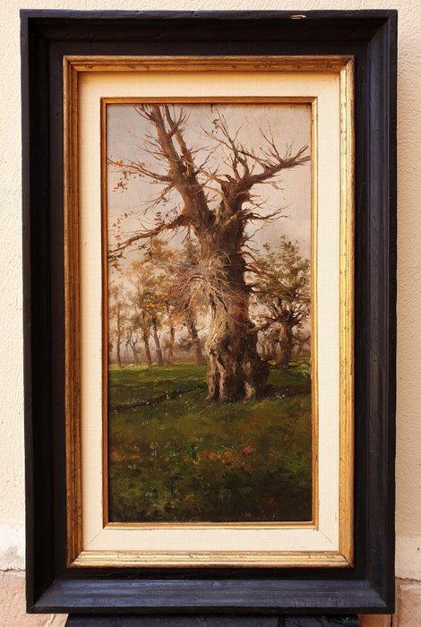 Mariano de la Fuente Cortijo (1856-1916) - Estudio de, Antiek en Kunst, Kunst | Schilderijen | Klassiek