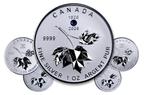 Silver Maple Leaf Set 2026, Postzegels en Munten, Munten en Bankbiljetten | Verzamelingen, Verzenden
