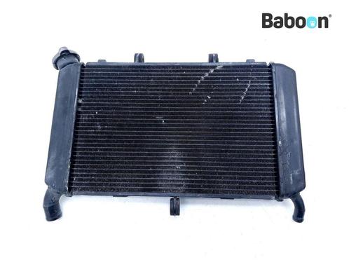 Radiateur Yamaha FZ 6 2007-2009 (FZ6 FAZER), Motoren, Onderdelen | Yamaha, Gebruikt, Verzenden