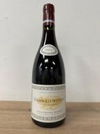 2021 Jacques Frédéric Mugnier - Chambolle Musigny - 1, Nieuw
