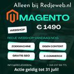 Professionele webshop ? | Complete Magento 2.0 va. € 1490,-, Diensten en Vakmensen, Webdesigners en Hosting, Zoekmachine-optimalisatie