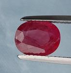 1 pcs Rood Robijn - 3.15 ct - GEM-TECH Istituto Gemmologico, Nieuw