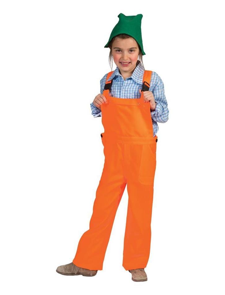 Tuinbroek Oranje Kind, Kleding | Dames, Carnavalskleding en Feestkleding, Nieuw, Ophalen of Verzenden