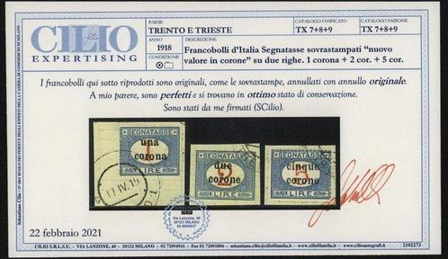 Italië - Dalmatië, Trente en Triëst 1919 - Gezegend Italië, Postzegels en Munten, Postzegels | Europa | Italië