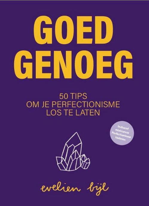 Goed Genoeg 9789493222342 Evelien Bijl, Boeken, Overige Boeken, Zo goed als nieuw, Verzenden